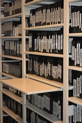 Books Storage Shelves