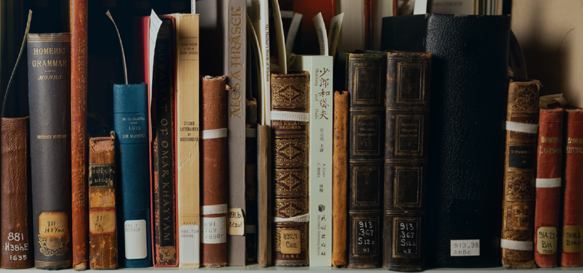 A New Brand With Stories to Tell | Aurora Storage Products